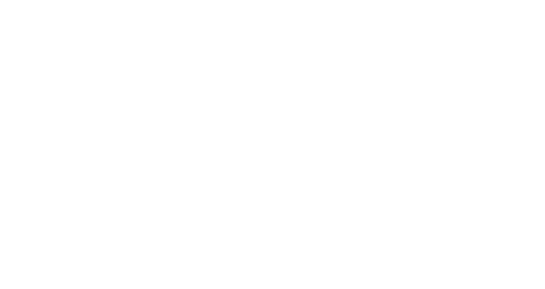 The Ingenuity Group